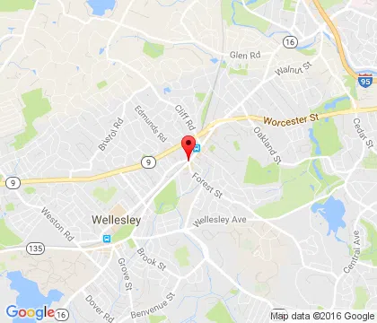 logo-image - WellesleyHills-MA